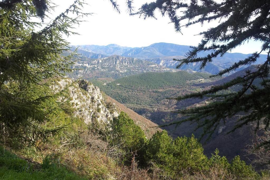Joli studio entre mer et montagne proche de Nice Bouyon Esterno foto